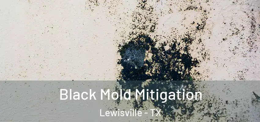  Black Mold Mitigation Lewisville - TX