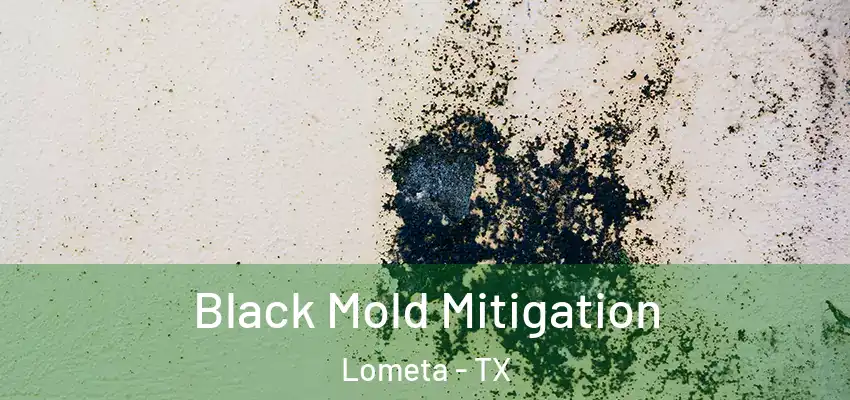 Black Mold Mitigation Lometa - TX