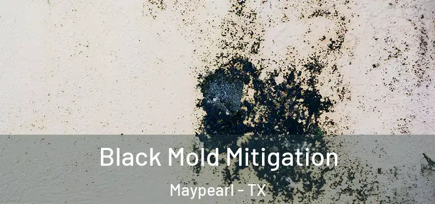  Black Mold Mitigation Maypearl - TX