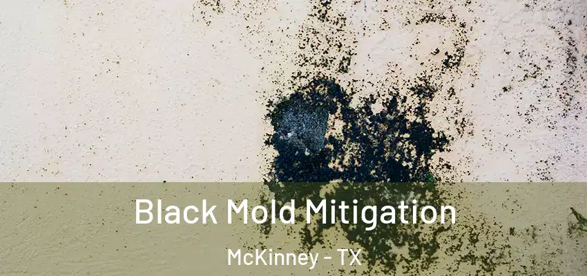 Black Mold Mitigation McKinney - TX