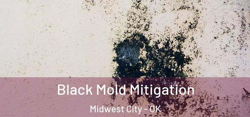  Black Mold Mitigation Midwest City - OK