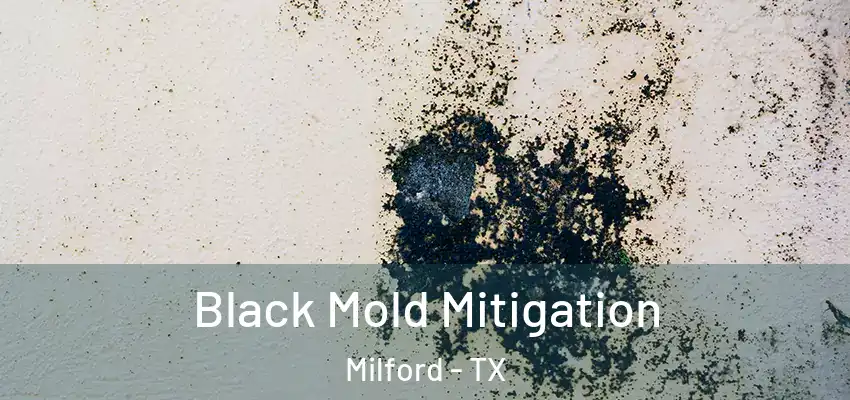 Black Mold Mitigation Milford - TX