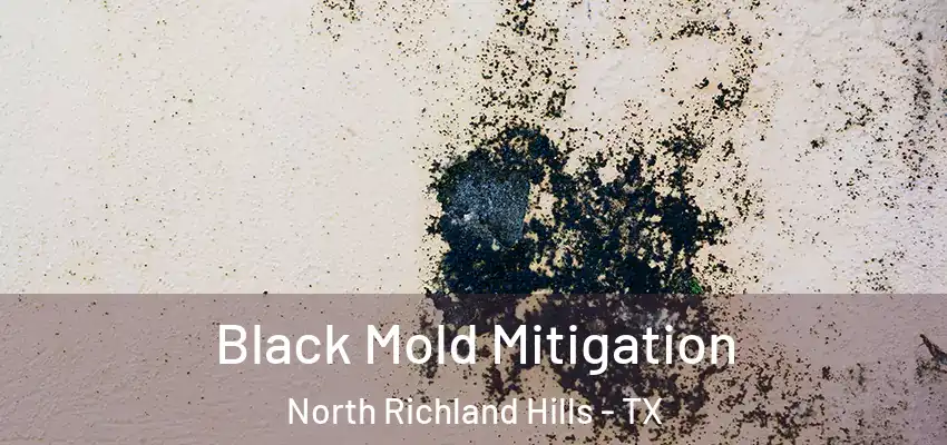  Black Mold Mitigation North Richland Hills - TX