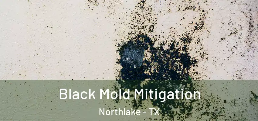 Black Mold Mitigation Northlake - TX