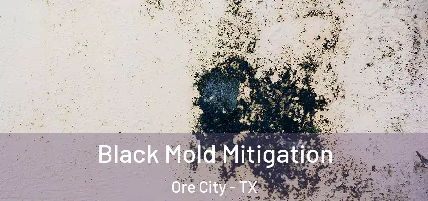 Black Mold Mitigation Ore City - TX
