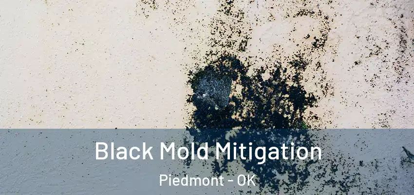 Black Mold Mitigation Piedmont - OK
