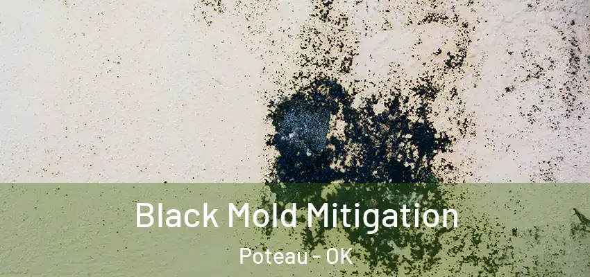 Black Mold Mitigation Poteau - OK