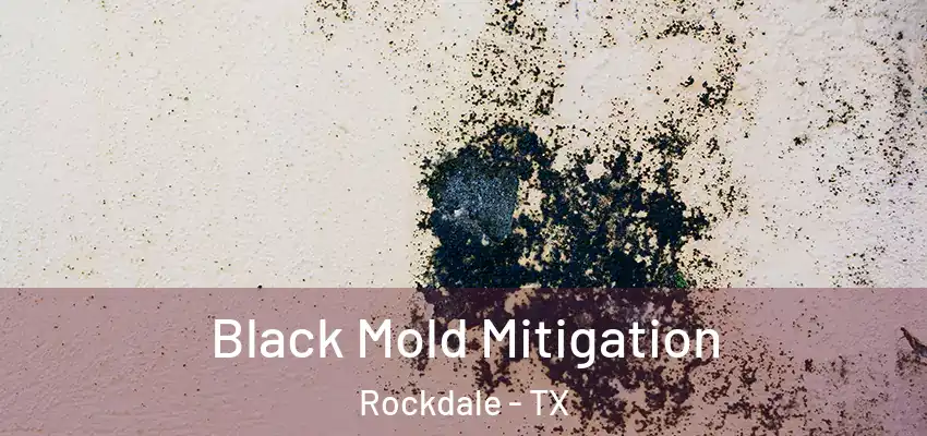  Black Mold Mitigation Rockdale - TX