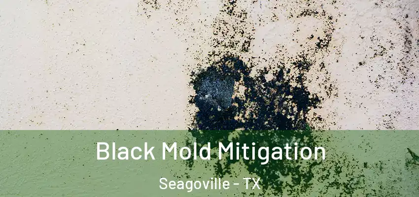  Black Mold Mitigation Seagoville - TX