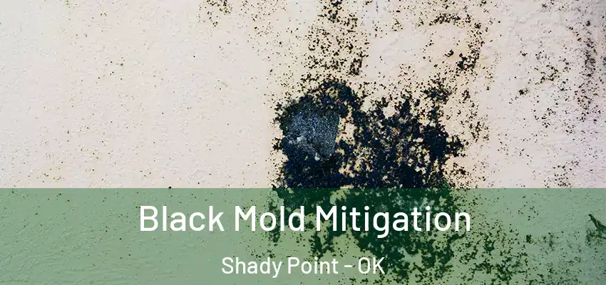 Black Mold Mitigation Shady Point - OK