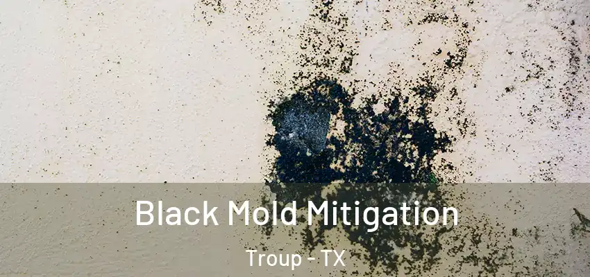 Black Mold Mitigation Troup - TX