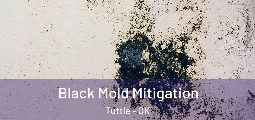  Black Mold Mitigation Tuttle - OK