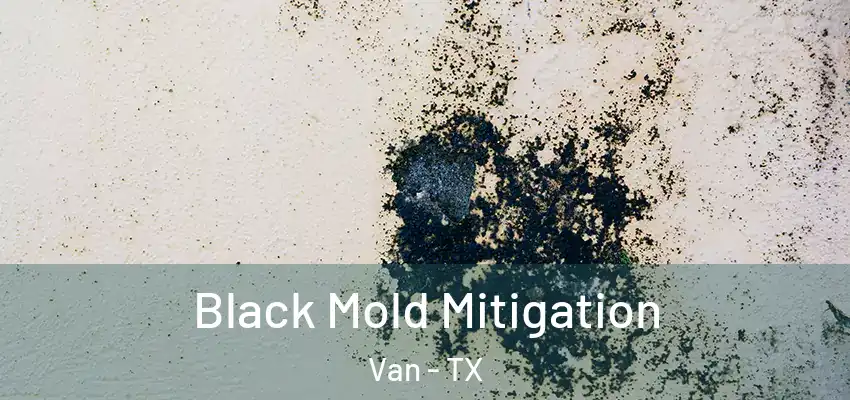 Black Mold Mitigation Van - TX