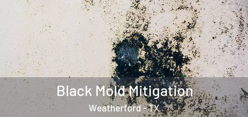  Black Mold Mitigation Weatherford - TX