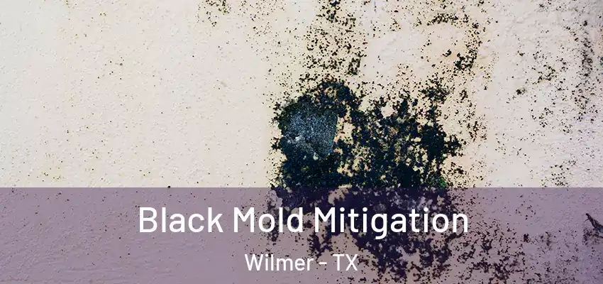 Black Mold Mitigation Wilmer - TX