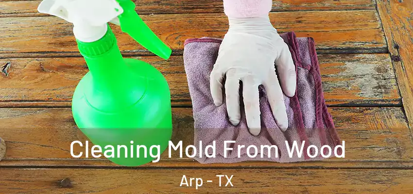  Cleaning Mold From Wood Arp - TX