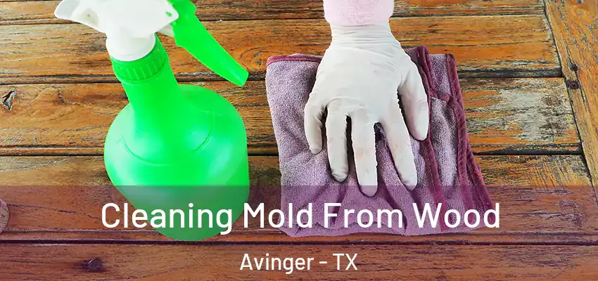Cleaning Mold From Wood Avinger - TX