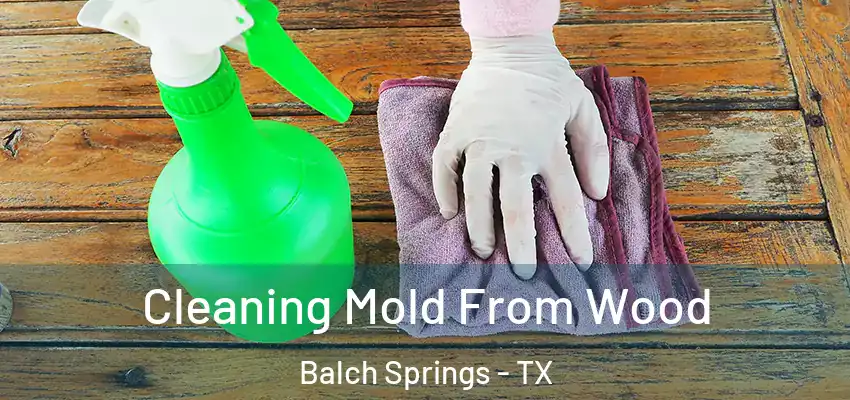 Cleaning Mold From Wood Balch Springs - TX