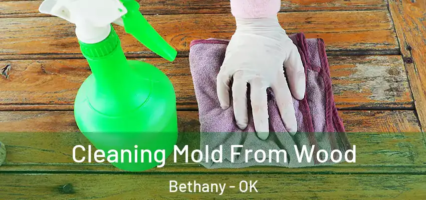 Cleaning Mold From Wood Bethany - OK