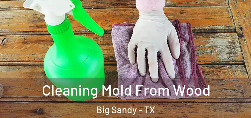  Cleaning Mold From Wood Big Sandy - TX