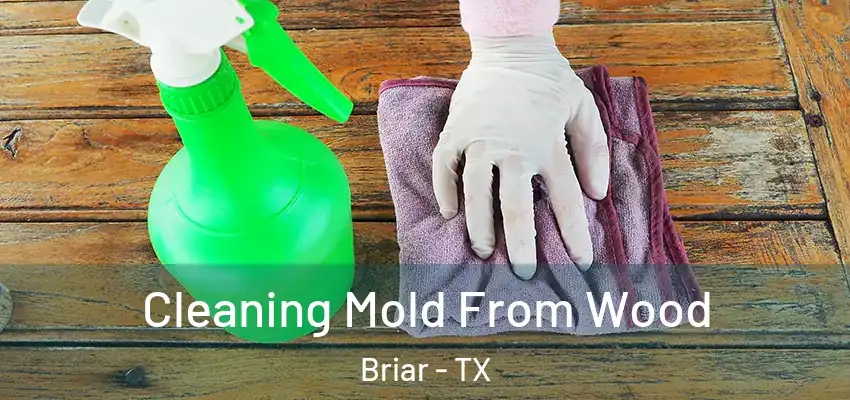 Cleaning Mold From Wood Briar - TX