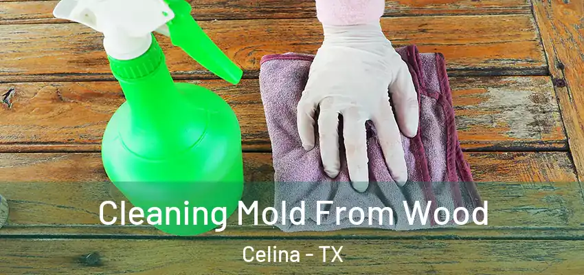  Cleaning Mold From Wood Celina - TX