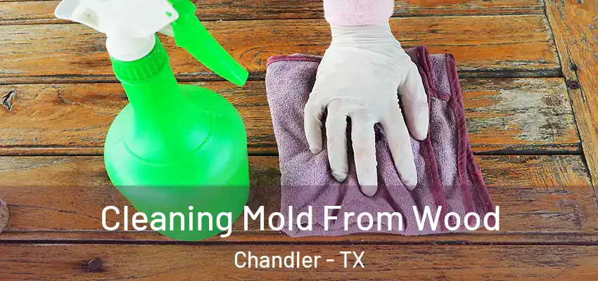  Cleaning Mold From Wood Chandler - TX