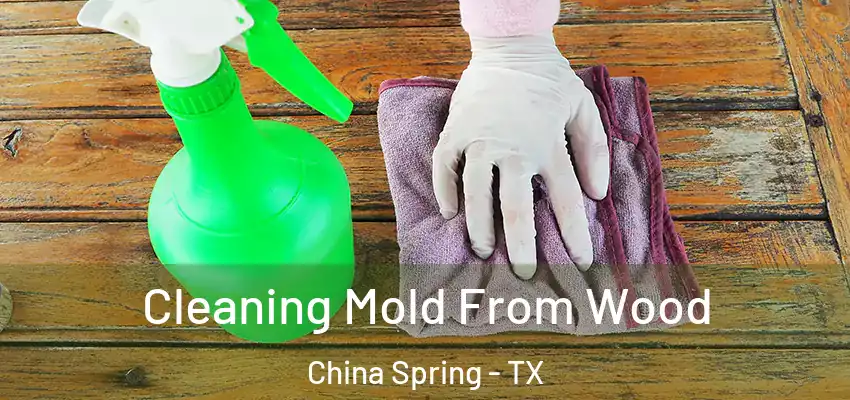  Cleaning Mold From Wood China Spring - TX