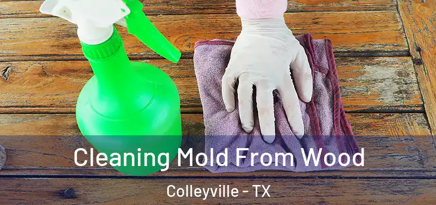 Cleaning Mold From Wood Colleyville - TX