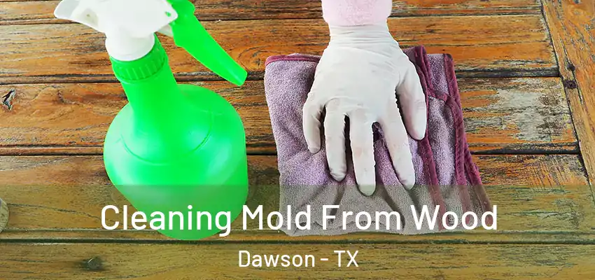 Cleaning Mold From Wood Dawson - TX