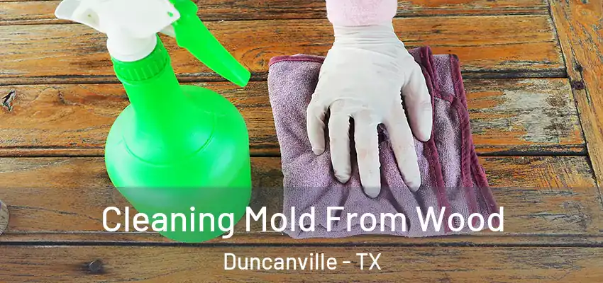 Cleaning Mold From Wood Duncanville - TX