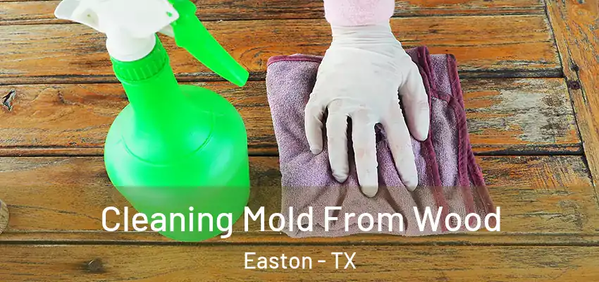  Cleaning Mold From Wood Easton - TX