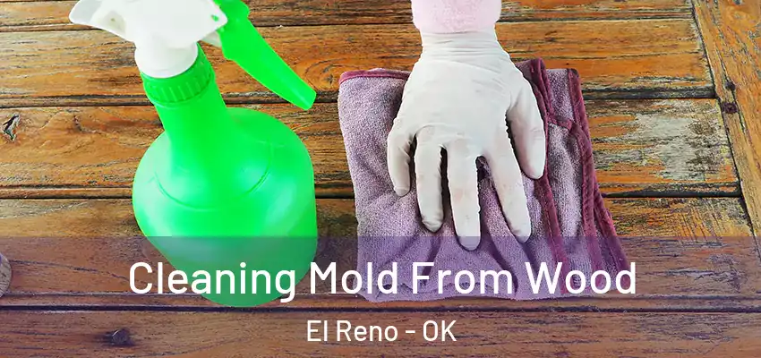  Cleaning Mold From Wood El Reno - OK