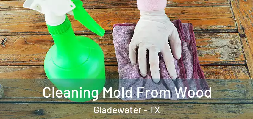  Cleaning Mold From Wood Gladewater - TX