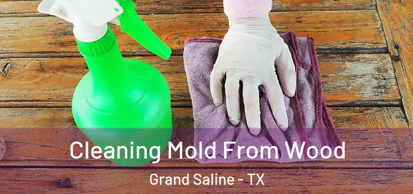  Cleaning Mold From Wood Grand Saline - TX