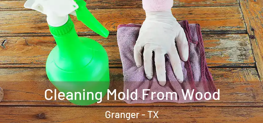  Cleaning Mold From Wood Granger - TX