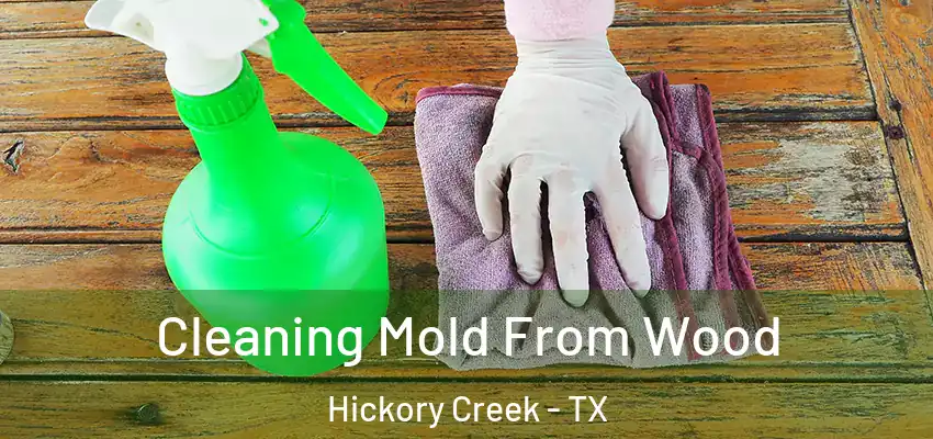 Cleaning Mold From Wood Hickory Creek - TX