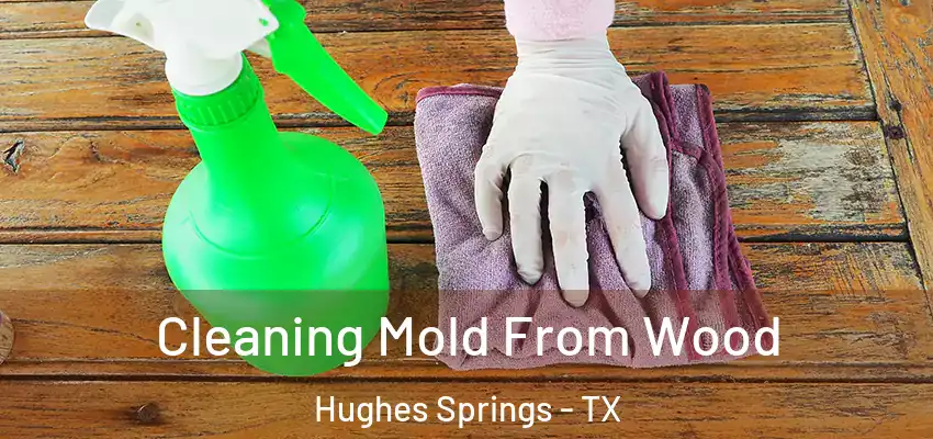  Cleaning Mold From Wood Hughes Springs - TX