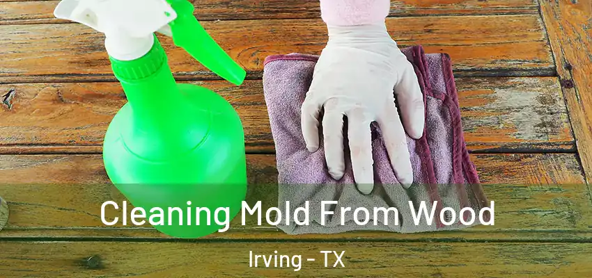 Cleaning Mold From Wood Irving - TX