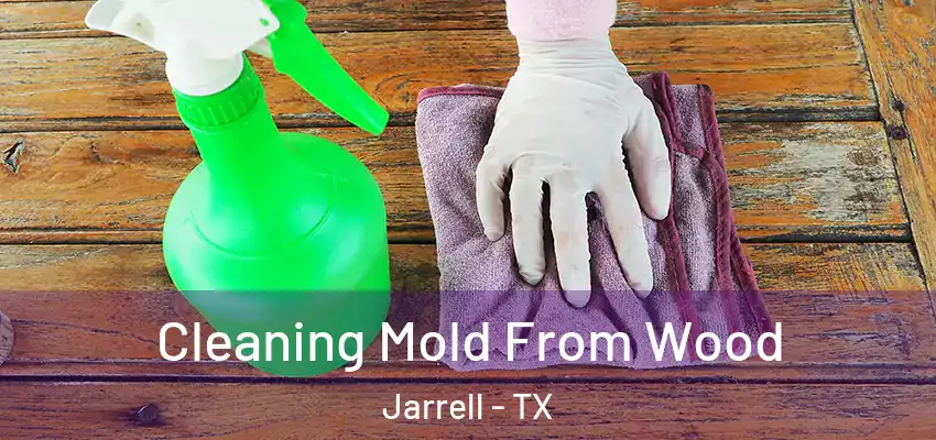 Cleaning Mold From Wood Jarrell - TX