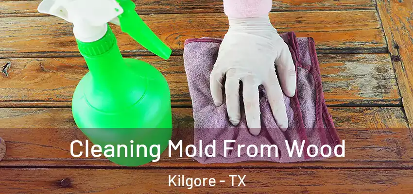  Cleaning Mold From Wood Kilgore - TX