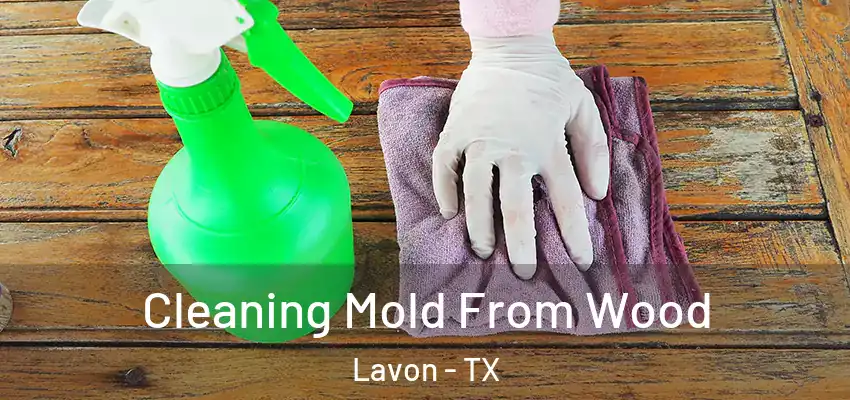  Cleaning Mold From Wood Lavon - TX