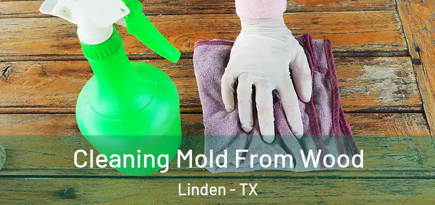  Cleaning Mold From Wood Linden - TX