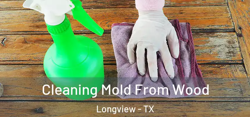 Cleaning Mold From Wood Longview - TX