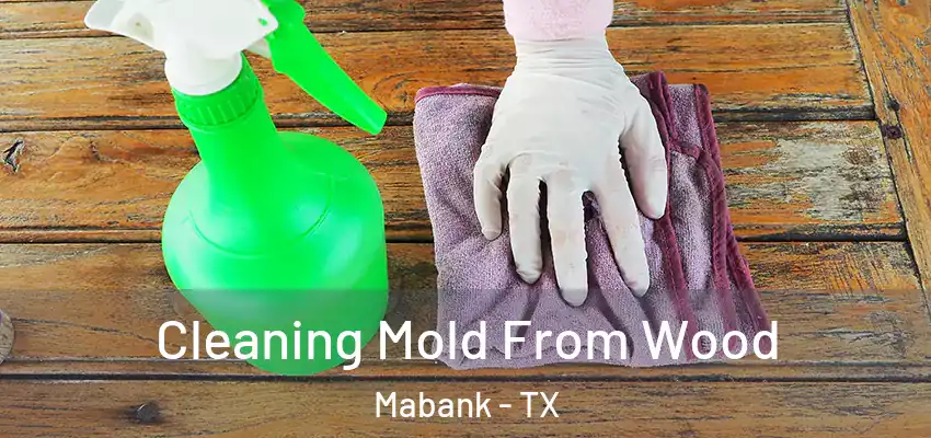 Cleaning Mold From Wood Mabank - TX