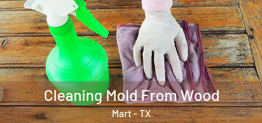 Cleaning Mold From Wood Mart - TX