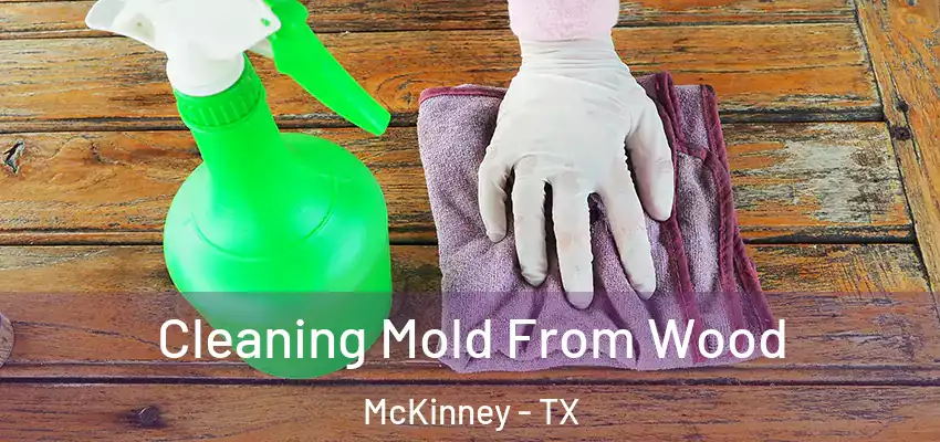  Cleaning Mold From Wood McKinney - TX
