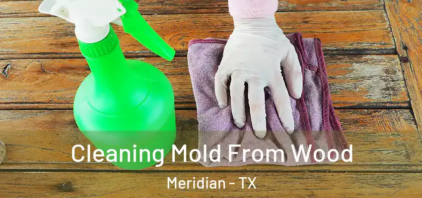  Cleaning Mold From Wood Meridian - TX