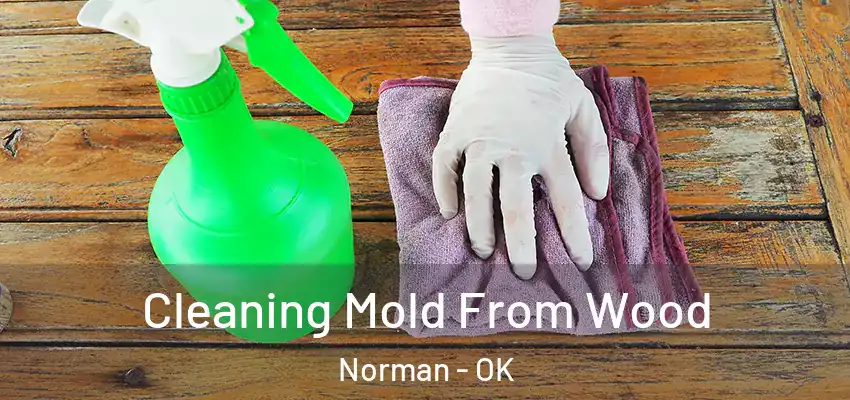  Cleaning Mold From Wood Norman - OK