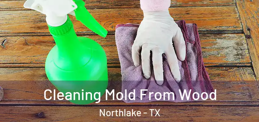  Cleaning Mold From Wood Northlake - TX
